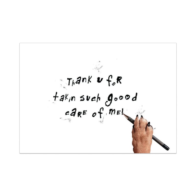 Dog Speak Thank You Letter â€“ Pet Sitter Appreciation Card â€“ Dog Paw with Treats Design, 4.75" x 6.75" â€“ Includes Envelope, Thoughtful Pet Care Thank You - Image 2